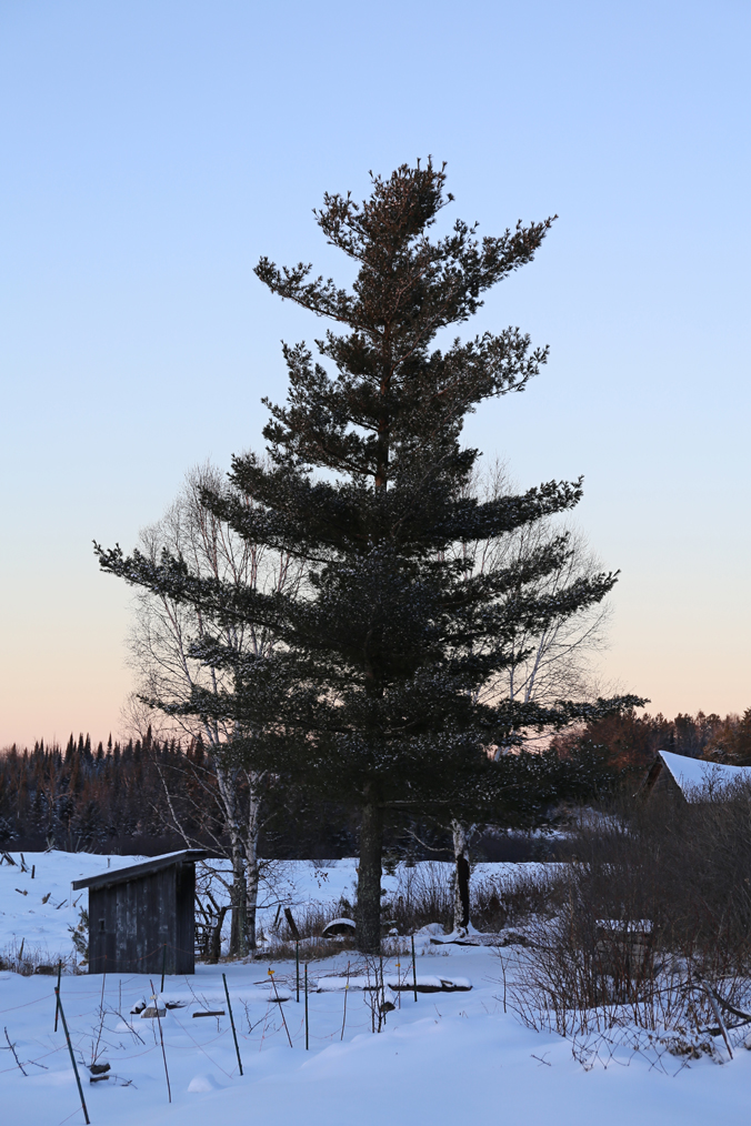 23448922403_dca9cfe0a1_o_d