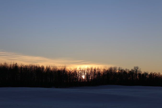 23448922843_c015ca8bc6_o_d