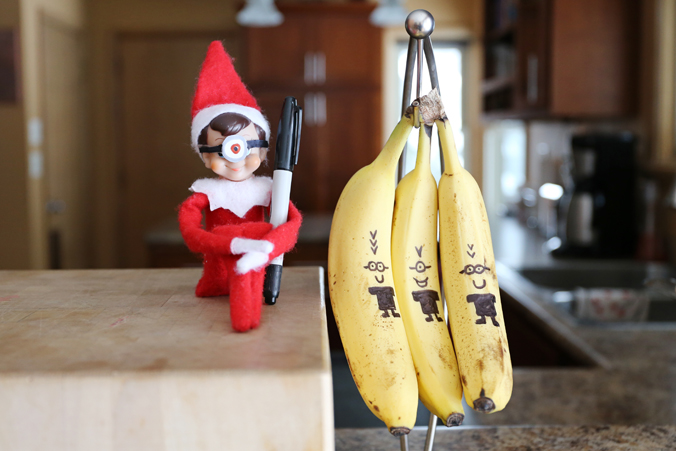 23588613809_af835a5b50_o_d