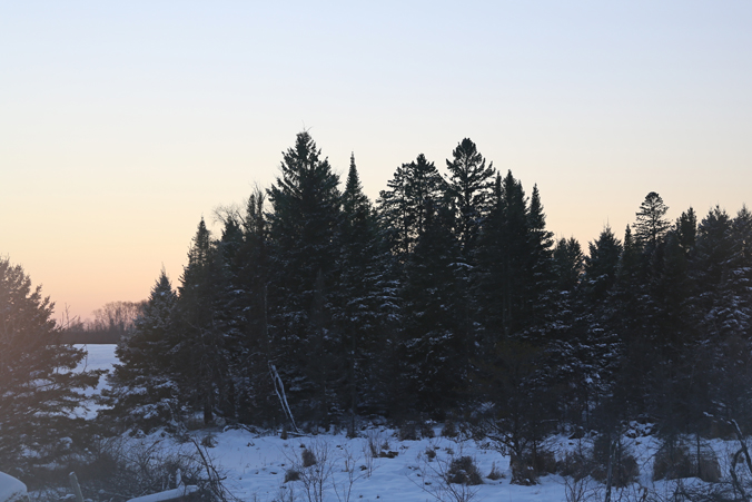 23967564452_cc771dc7c3_o_d